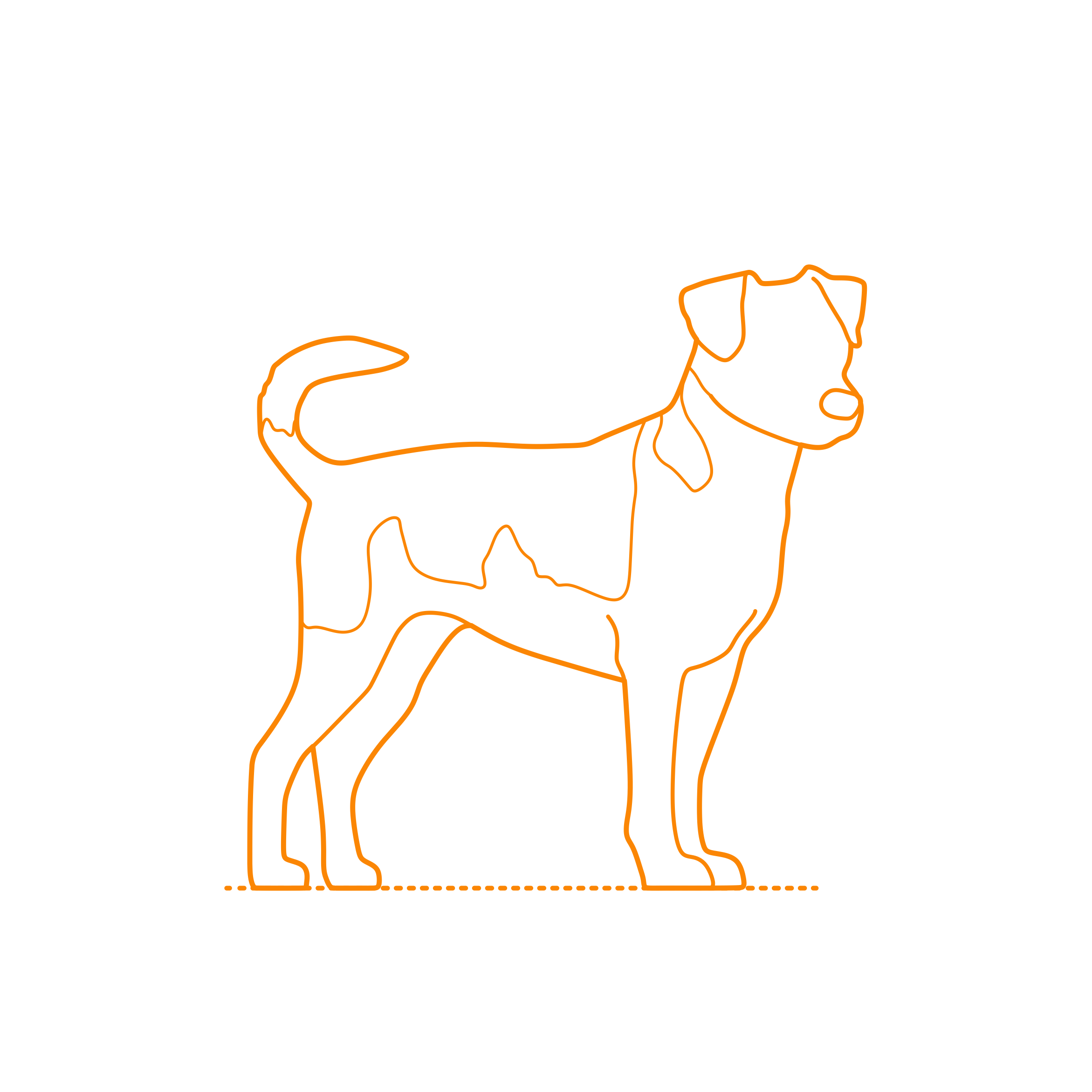 Animals Dogs Danish Swedish Farmdog Tracing Svg Vector Free Vectors